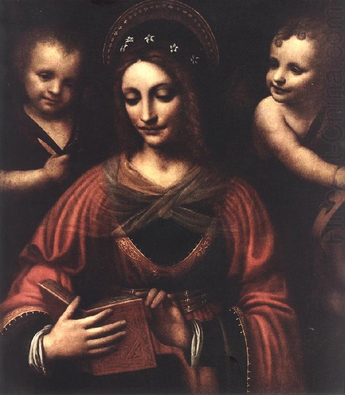 LUINI, Bernardino Saint Catherine a china oil painting image